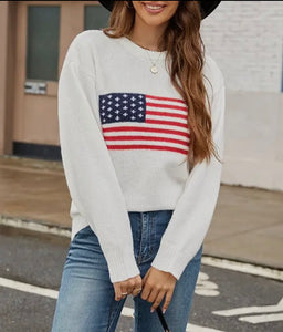 USA Flag Sweater